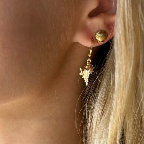 #2687 CONCH SHELL HUGGIE